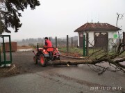 2018-12-27 Brigáda na revitalizaci stromořadí