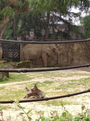 ZOO Dvůr Králové nad Labem