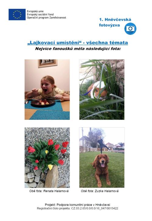 Vyhodnocení podle lajků