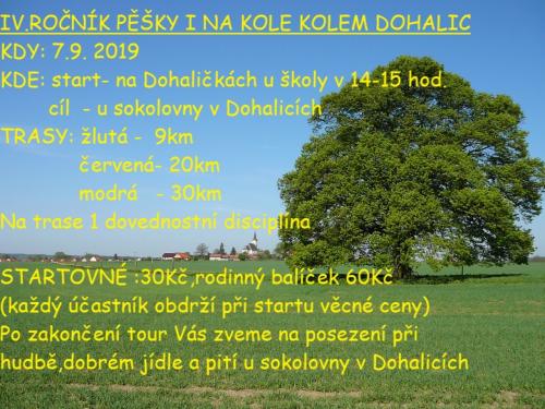 Plakát